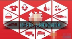 拼多多多多精灵升级攻略 拼多多多多精灵怎么升级快