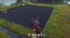 天穗之咲稻姬水位怎么合理控制  天穗之咲稻姬田地水位要点分享