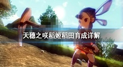 天穗之咲稻姬水稻怎么种 天穗之咲稻姬稻田育成详解