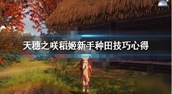天穗之咲稻姬种田技巧详解 天穗之咲稻姬如何种田