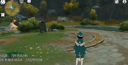 原神大伟丘刷新掉落地点在哪 原神大伟丘刷新地点汇总