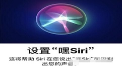 苹果12Siri没有声音怎么回事 苹果12Siri没有声音解决方法