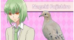 《鸽子男友》史低价促销截止到11月24日