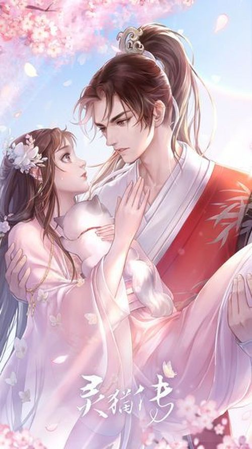 灵猫传无法更新怎么办 灵猫传新版本无法更新问题解决