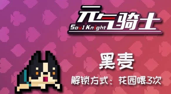 元气骑士柯基黑麦怎么得?元气骑士柯基黑麦投喂宠物方法解析