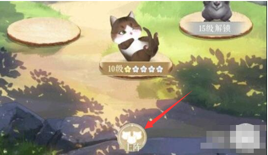 灵猫传猫咪怎么上阵 灵猫传灵猫上阵方法介绍
