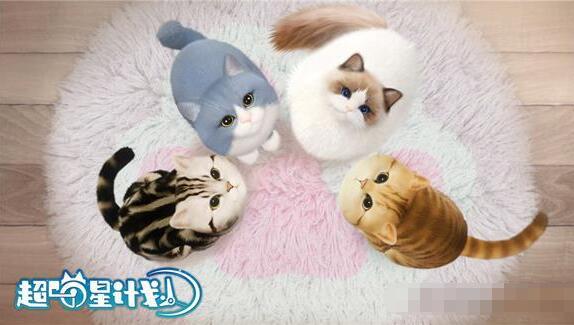 超喵星计划猫咪好感度怎么提升 超喵星计划猫咪好感度提升攻略