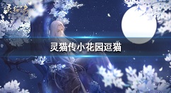灵猫传小花园怎么逗猫 灵猫传逗猫棒使用方法介绍