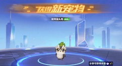 qq飞车手游猫头鹰多少点券？qq飞车手游猫头鹰属性与点券花费解析