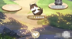 灵猫传猫咪怎么上阵 灵猫传灵猫上阵方法介绍