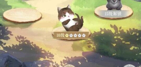 灵猫传猫咪怎么升级 灵猫传灵猫升级突破方法介绍