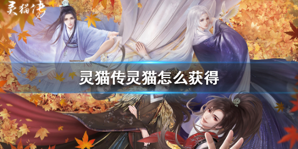 灵猫传灵猫怎么得 灵猫传灵猫获取方法介绍