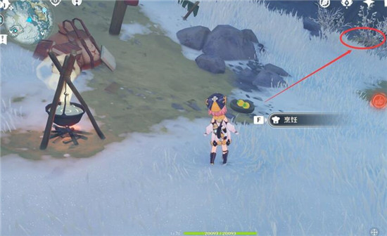 原神喂狐狸的地点在哪？原神喂狐狸的地点分布