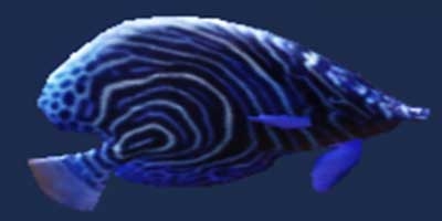 妄想山海蓝神鱼怎么抓 妄想山海蓝神鱼获取攻略