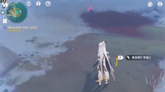 原神腐殖之牙任务怎么过?原神寻找奇异的牙齿任务完成解析