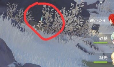 原神雪山迷踪狐狸在哪？原神雪山迷踪狐狸位置与投喂方法攻略