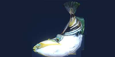 妄想山海炮弹鱼怎么抓 妄想山海炮弹鱼获取攻略