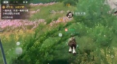 天谕手游课堂展示二昆虫在哪里?天谕手游课堂展示二昆虫声音收集攻略