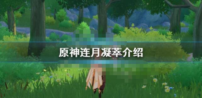 原神连月凝萃是什么?原神连月凝萃介绍