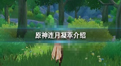 原神连月凝萃是什么？原神连月凝萃介绍