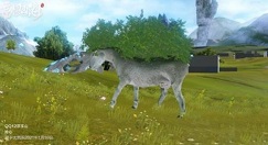 妄想山海羶根在哪?妄想山海羶根分布位置与捕捉方法攻略