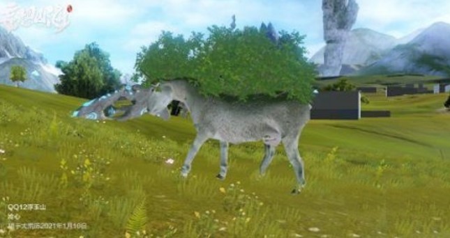 妄想山海羶根在哪?妄想山海羶根分布位置与捕捉方法攻略