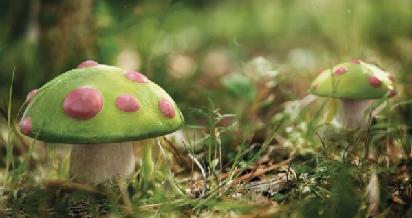 英雄联盟手游不起眼的道路怎么玩?英雄联盟手游不起眼的道路与提莫上线解析