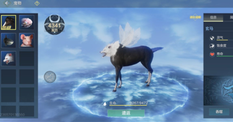 妄想山海玄馬怎么進化 妄想山海玄馬進化方案介紹