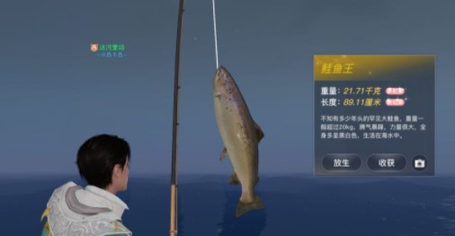 天谕手游黑鲈鱼去哪钓?天谕手游钓鱼黑鲈鱼百分百必出点分享