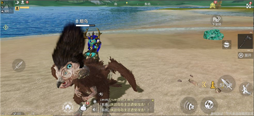 妄想山海彘进化的颙鸟在哪抓 妄想山海颙鸟刷新地点介绍