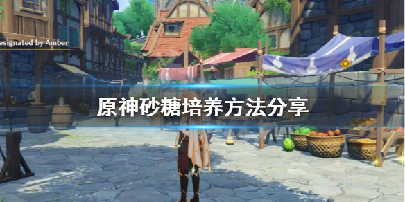 原神砂糖怎么用？原神砂糖培养方法