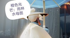 光遇橙色光芒在哪 光遇橙色光芒怎么获得