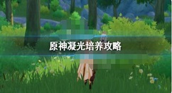 原神凝光怎么培养？原神凝光培养攻略