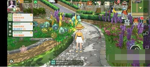 小森生活种子与希望任务怎么做 小森生活种子与希望攻略