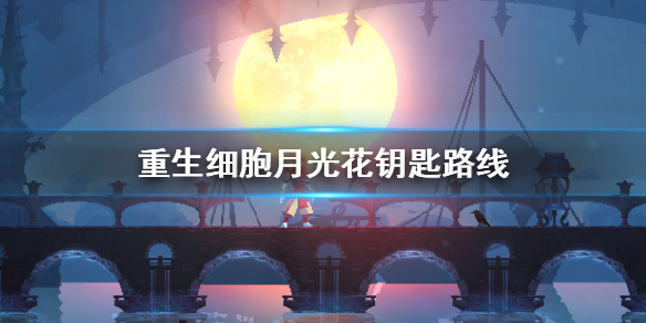 重生细胞月光花钥匙哪里拿？重生细胞月光花钥匙路线