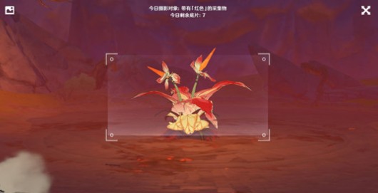 原神福至五彩无法拍照?原神福至五彩拍不了照解决方法