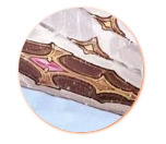 三国志幻想大陆小乔冬雪初至怎么拿？三国志幻想大陆小乔冬雪初至入手途径