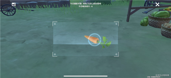 原神福至五彩任务拍照位置大全 原神五种颜色采集物拍照位置分享