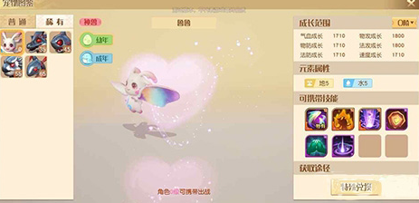 梦想新大陆宠物装备怎么卸？梦想新大陆宠物装备卸下方法