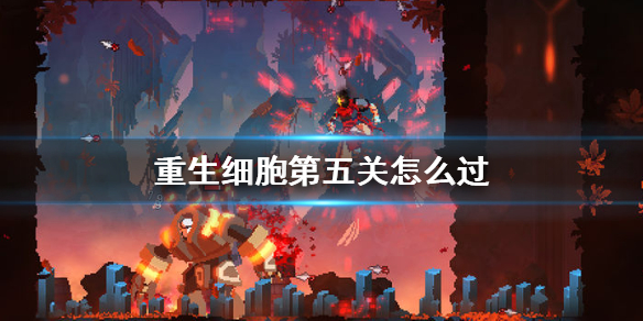 重生细胞第五关怎么过？重生细胞第五关通过方法