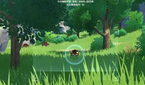 原神福至五彩任务拍照位置大全 原神五种颜色采集物拍照位置分享