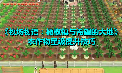 牧场物语：橄榄镇与希望的大地农作物星级怎么提升？牧场物语农作物星级提升技巧