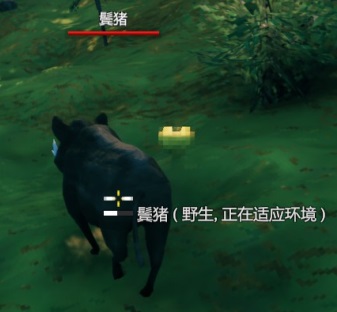 英灵神殿猪能繁殖吗？英灵神殿猪驯化及喂养方法介绍