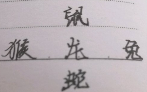 戲精大偵探陰陽佩怎么過?戲精大偵探陰陽佩通關(guān)方法截圖