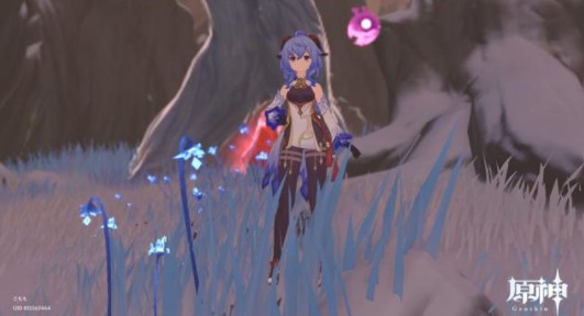 原神圣遗物评分工具如何用?原神圣遗物评分工具使用教程