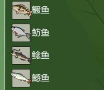 小森生活鱼类分布在哪?小森生活鱼类分布位置介绍