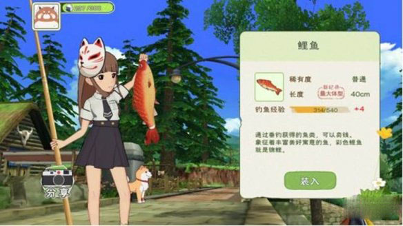 小森生活怎么喂野猫？小森生活喂野猫方法技巧