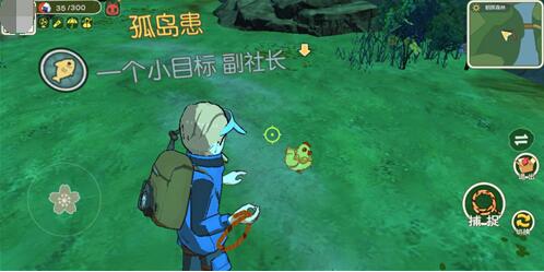 小森生活金鸡在哪里?小森生活金鸡位置介绍