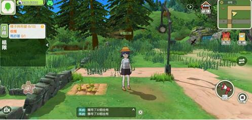 小森生活金鸡在哪里?小森生活金鸡位置介绍