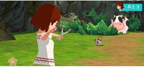 小森生活大型动物怎么捕捉？小森生活大型动物捕捉攻略